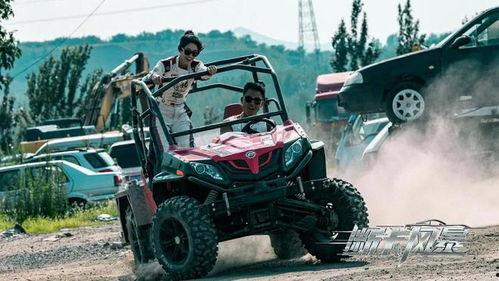 断卡风暴,重拳出击，守护网络安全防线