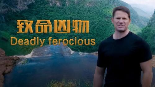 致命凶物,揭开神秘生物的恐怖面纱