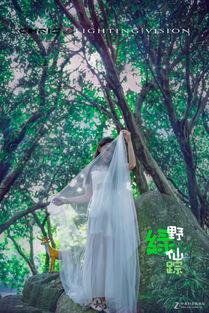 仙踪迷失 第一季